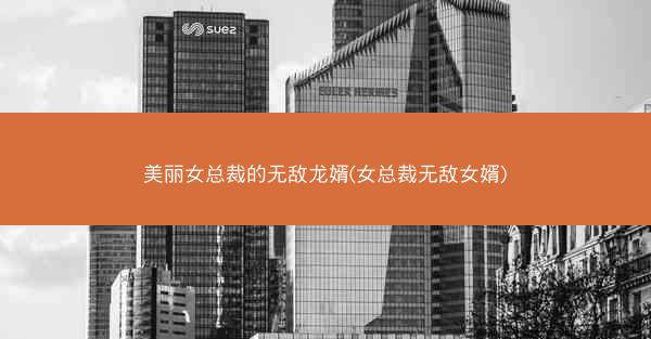 美丽女总裁的无敌龙婿(女总裁无敌女婿)