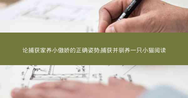 论捕获家养小傲娇的正确姿势;捕获并驯养一只小猫阅读 论捕获家养小傲娇的正确姿势;捕获并驯养一只小猫阅读