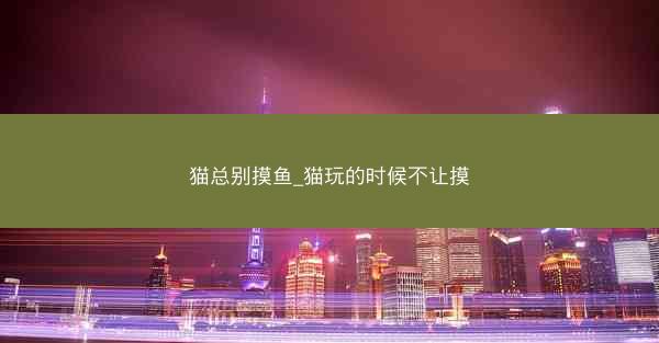 猫总别摸鱼_猫玩的时候不让摸