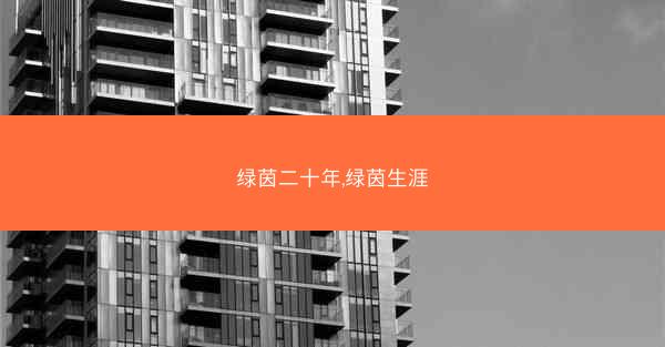 绿茵二十年,绿茵生涯