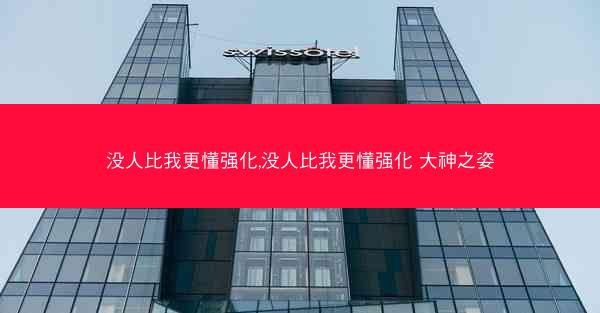 没人比我更懂强化,没人比我更懂强化 大神之姿