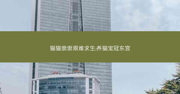 猫猫祟祟艰难求生;养猫宠冠东宫