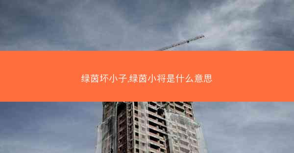 绿茵坏小子,绿茵小将是什么意思