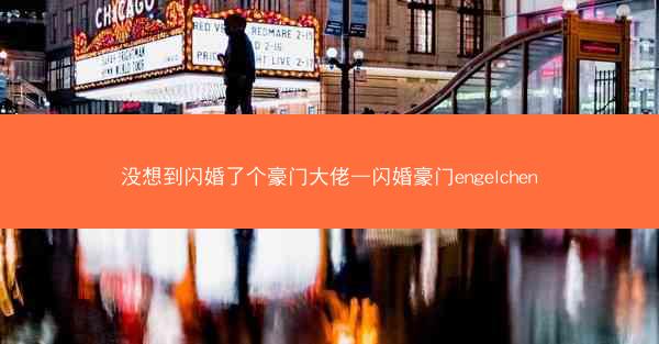 没想到闪婚了个豪门大佬—闪婚豪门engelchen