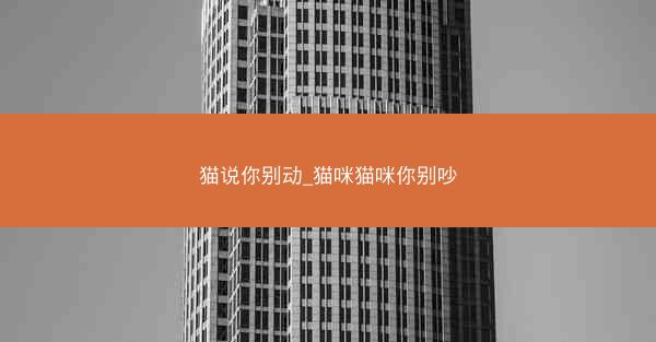 猫说你别动_猫咪猫咪你别吵