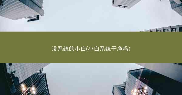 没系统的小白(小白系统干净吗)