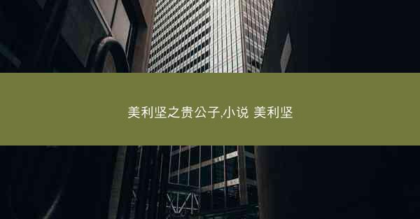 美利坚之贵公子,小说 美利坚
