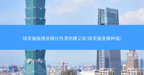 绿茶猫猫撩欲缠任性漂亮腰又软(绿茶猫是哪种猫)