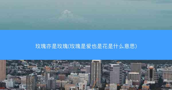 玫瑰亦是玫瑰(玫瑰是爱也是花是什么意思)