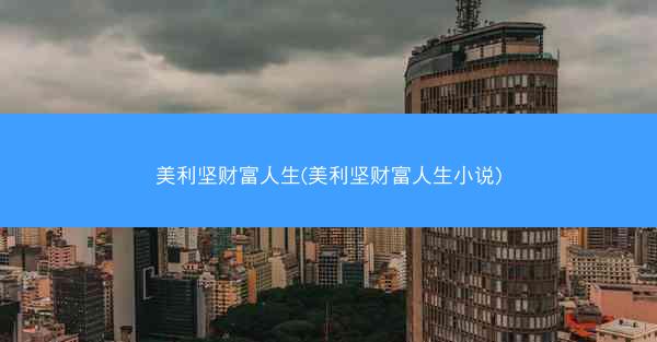 美利坚财富人生(美利坚财富人生小说)