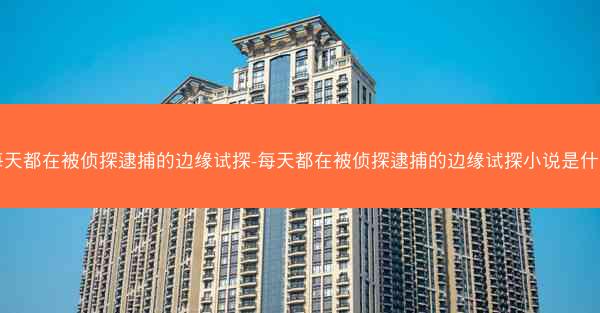 每天都在被侦探逮捕的边缘试探-每天都在被侦探逮捕的边缘试探小说是什么