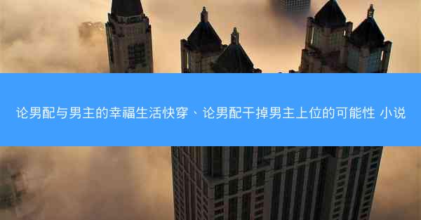 论男配与男主的幸福生活快穿、论男配干掉男主上位的可能性 小说