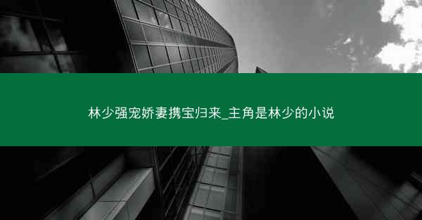 林少强宠娇妻携宝归来_主角是林少的小说