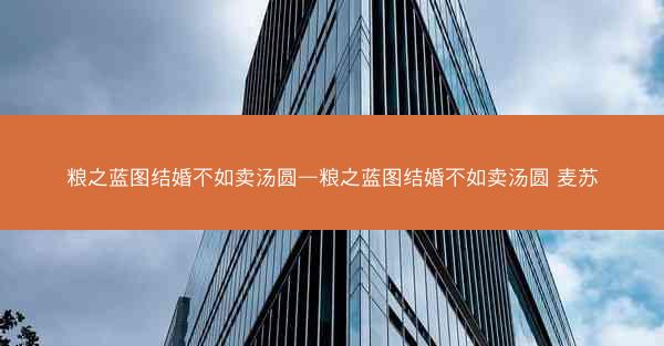 粮之蓝图结婚不如卖汤圆—粮之蓝图结婚不如卖汤圆 麦苏