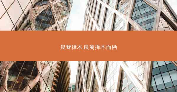 良琴择木,良禽择木而栖