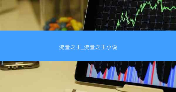 流量之王_流量之王小说