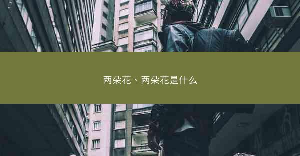 两朵花、两朵花是什么