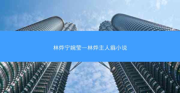 林烨宁婉莹—林烨主人翁小说