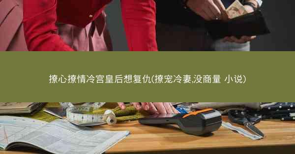 撩心撩情冷宫皇后想复仇(撩宠冷妻,没商量 小说)
