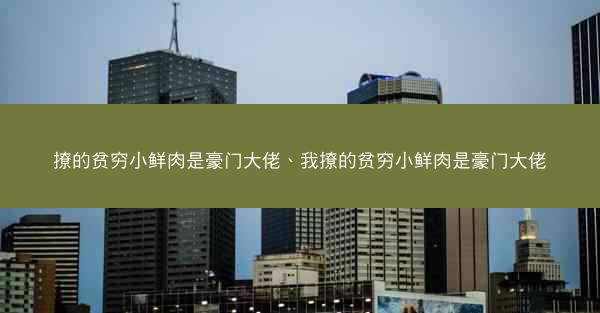 撩的贫穷小鲜肉是豪门大佬、我撩的贫穷小鲜肉是豪门大佬