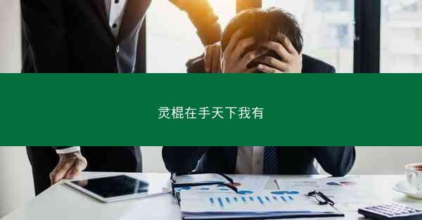 灵棍在手天下我有 灵棍在手天下我有