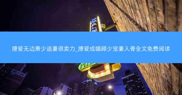 撩爱无边萧少追妻很卖力_撩爱成婚顾少宠妻入骨全文免费阅读