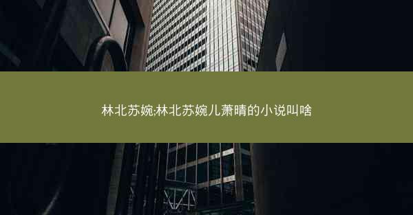 林北苏婉;林北苏婉儿萧晴的小说叫啥