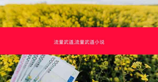 流量武道,流量武道小说