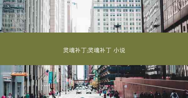 灵魂补丁;灵魂补丁 小说