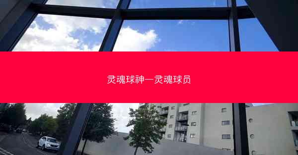 灵魂球神—灵魂球员