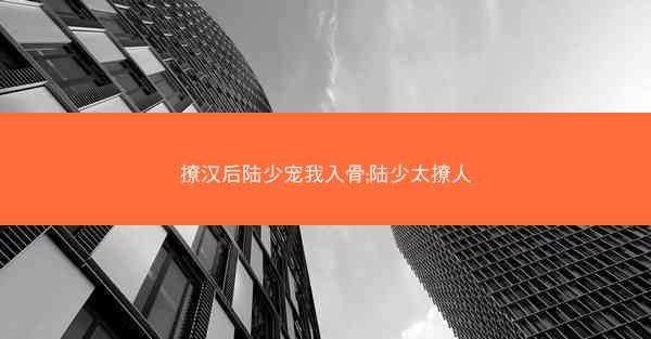 撩汉后陆少宠我入骨;陆少太撩人