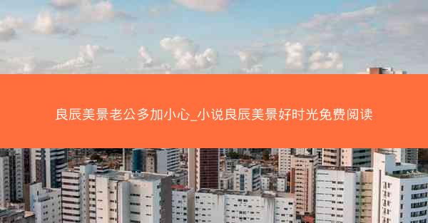 良辰美景老公多加小心_小说良辰美景好时光免费阅读 良辰美景老公多加小心_小说良辰美景好时光免费阅读