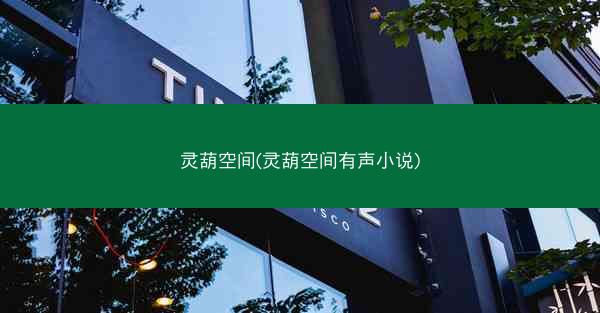 灵葫空间(灵葫空间有声小说)
