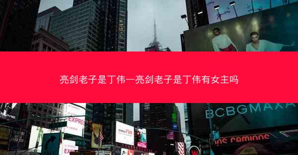 亮剑老子是丁伟—亮剑老子是丁伟有女主吗