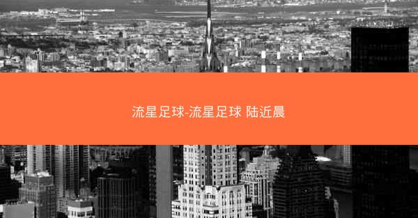 流星足球-流星足球 陆近晨