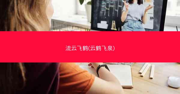 流云飞鹤(云鹤飞泉)