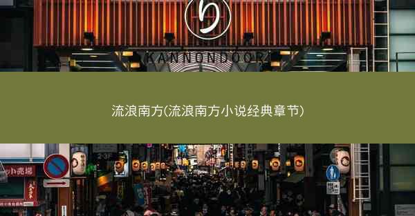 流浪南方(流浪南方小说经典章节)