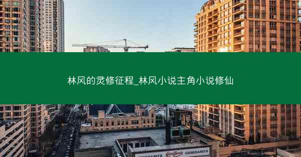 林风的灵修征程_林风小说主角小说修仙