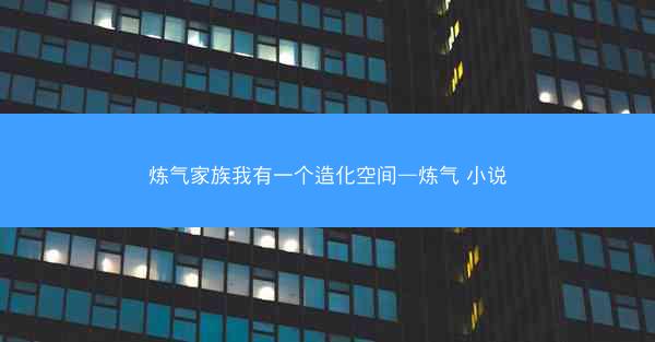 炼气家族我有一个造化空间—炼气 小说