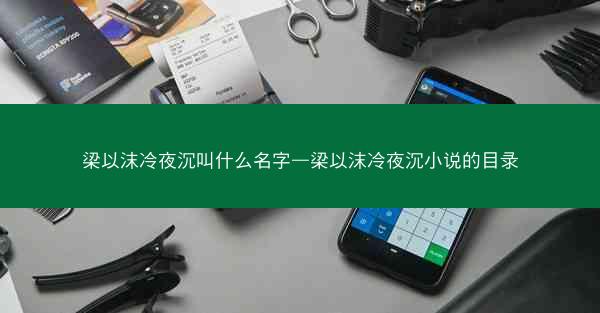 梁以沫冷夜沉叫什么名字—梁以沫冷夜沉小说的目录