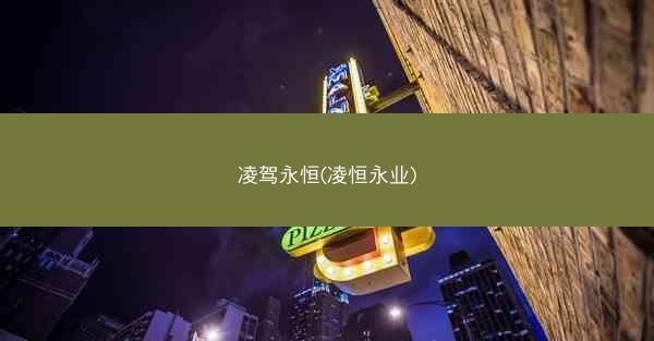 凌驾永恒(凌恒永业)