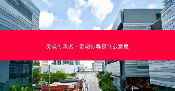 灵魂传承者、灵魂传导是什么意思