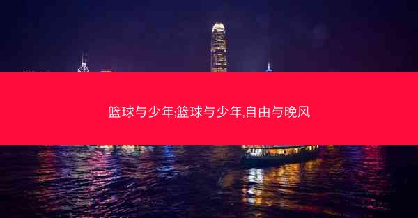篮球与少年;篮球与少年,自由与晚风