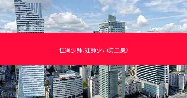 狂狮少帅(狂狮少帅第三集)
