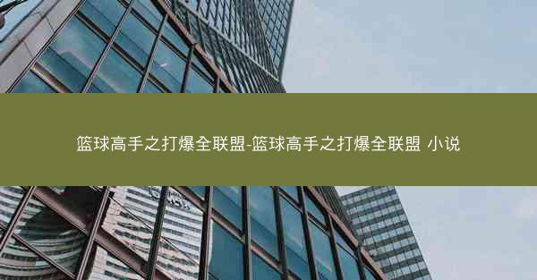 篮球高手之打爆全联盟-篮球高手之打爆全联盟 小说