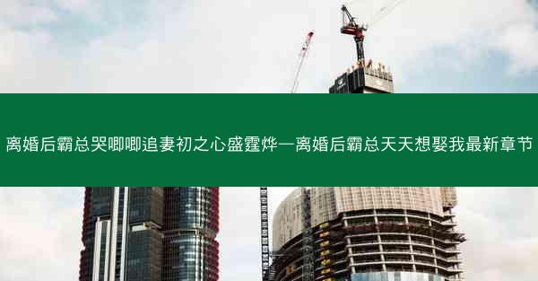 离婚后霸总哭唧唧追妻初之心盛霆烨—离婚后霸总天天想娶我最新章节