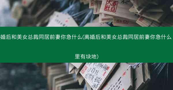 离婚后和美女总裁同居前妻你急什么(离婚后和美女总裁同居前妻你急什么 家里有块地)