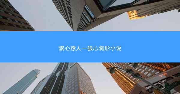 狼心撩人—狼心狗形小说
