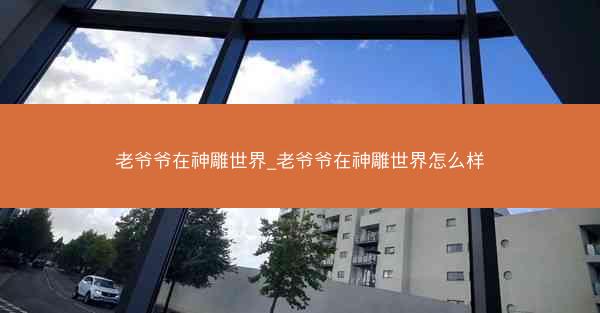 老爷爷在神雕世界_老爷爷在神雕世界怎么样