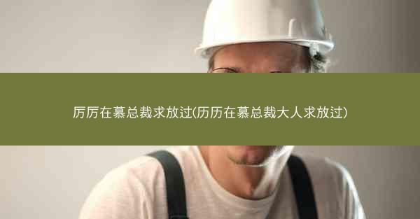 厉厉在慕总裁求放过(历历在慕总裁大人求放过)